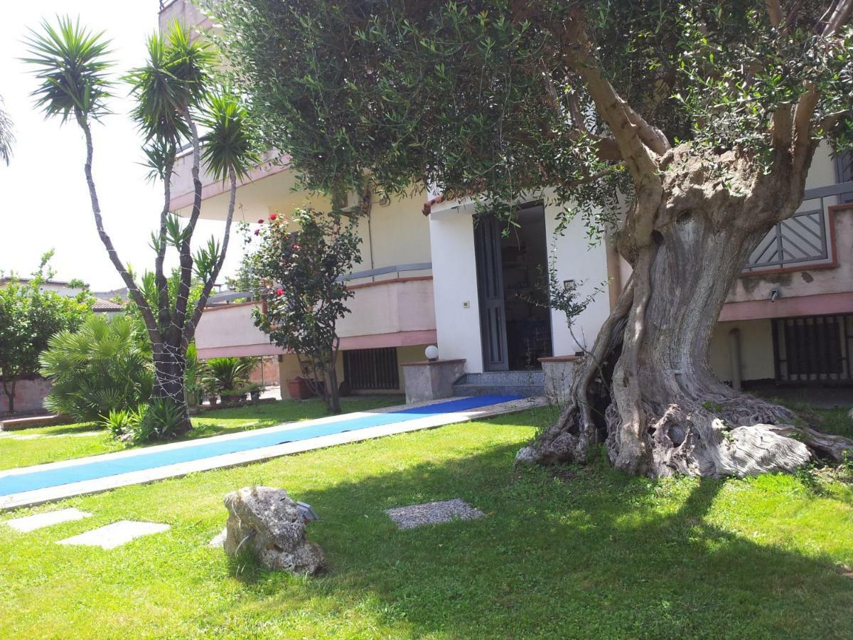 Vesuvio Bed & Breakfast 스카파티 외부 사진